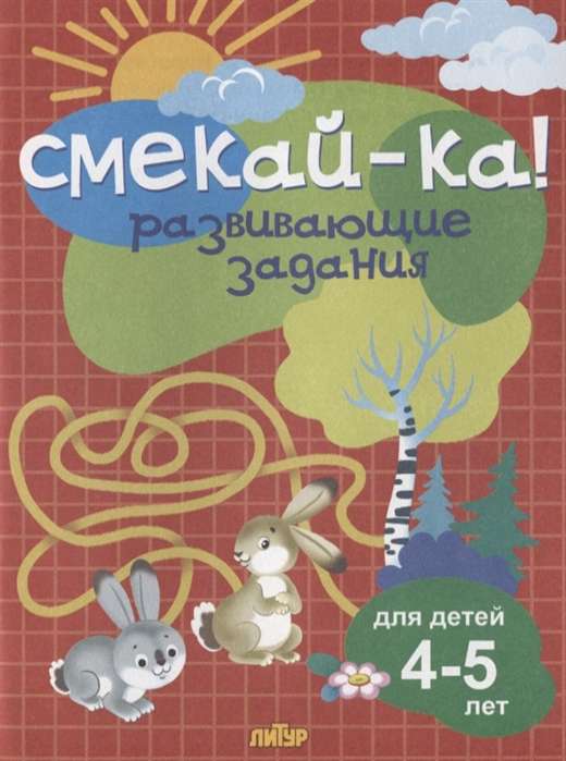 Смекай-ка! Развивающие задания для детей 4-5 лет