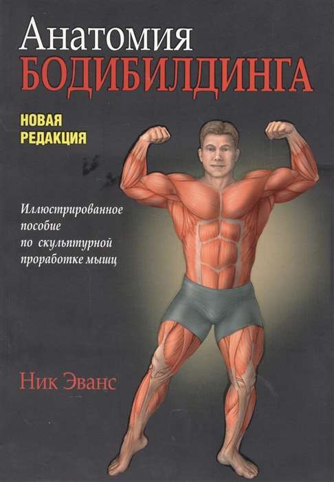 Анатомия бодибилдинга. Иллюстрированное пособие по скульптурной проработке мышц. Новая редакция