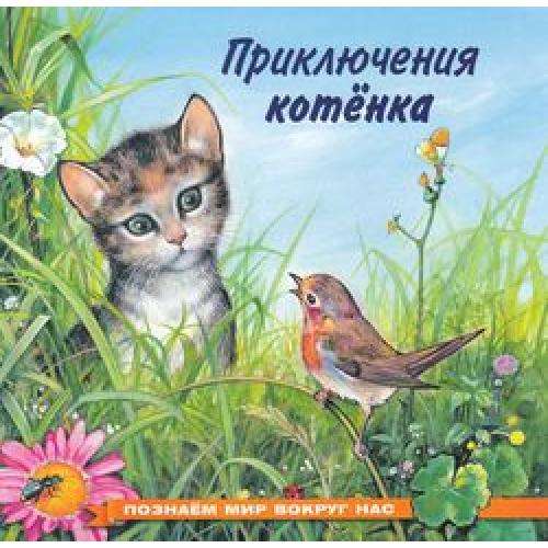 Приключения котёнка