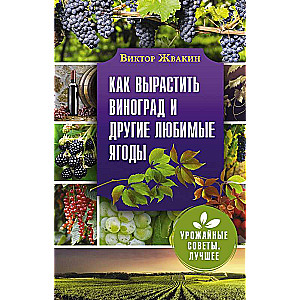 Как вырастить виноград и другие любимые ягоды. Простые и понятные инструкции для начинающих