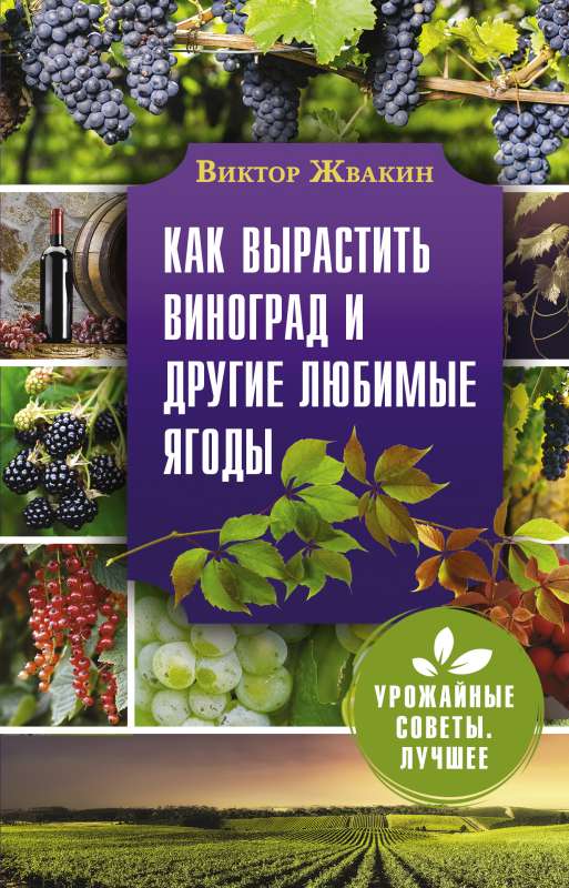 Как вырастить виноград и другие любимые ягоды. Простые и понятные инструкции для начинающих