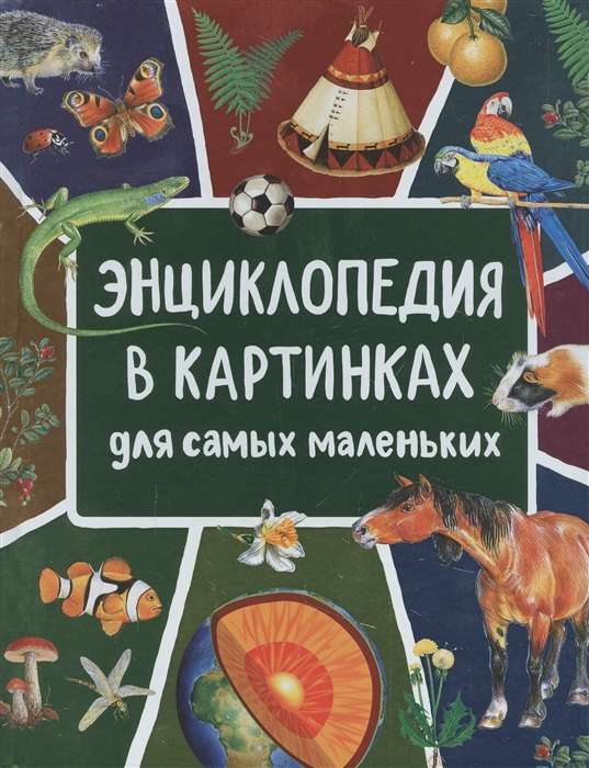 Клюшник Л. В. Энциклопедия в картинках для самых маленьких