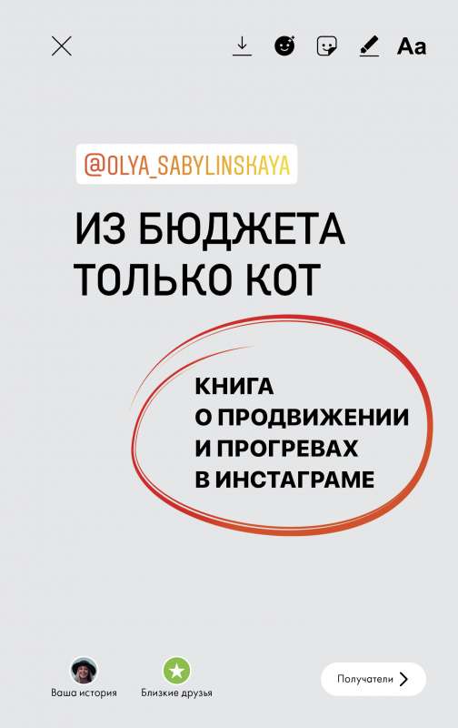 Из бюджета только кот. Книга о продвижении и прогревах в инстаграме