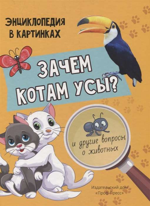 Зачем котам усы?