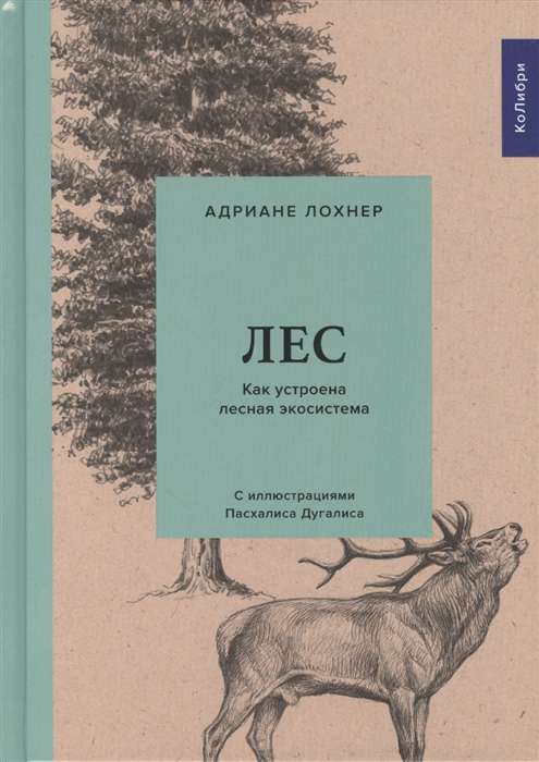 Лес. Как устроена лесная экосистема