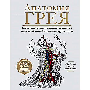 Анатомия Грея. Анатомические структуры с оригинальной и современной терминологией на английском, латинском и русском языках