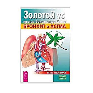 Золотой ус против болезней дыхания. Бронхит и астма 