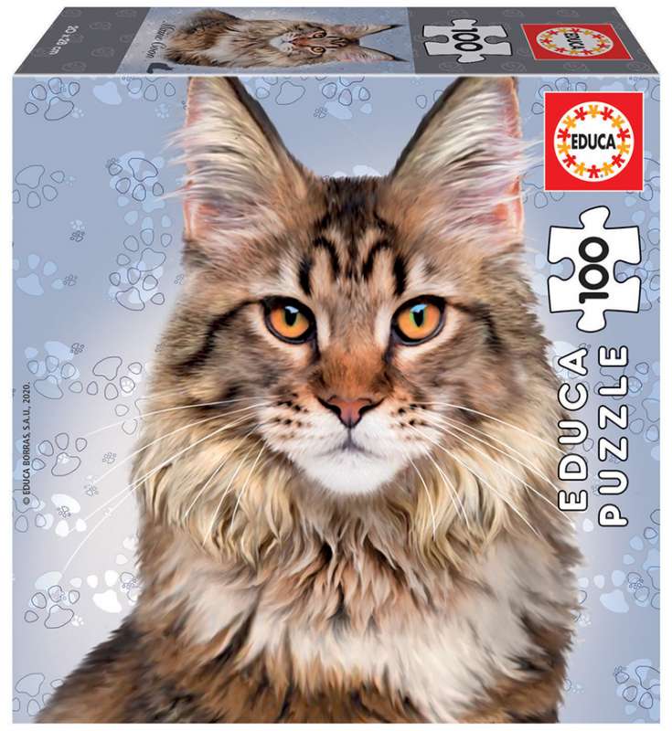 Puzzle EDUCA Main Coon, 100 деталей