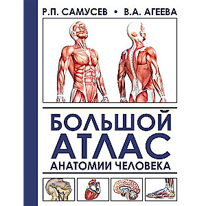 Большой атлас анатомии человека. 2-е издание