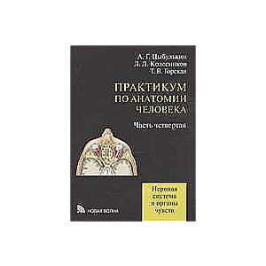 Практикум по анатомии человека. В 4-х частях. Часть 4. Нервная система и органы чувств