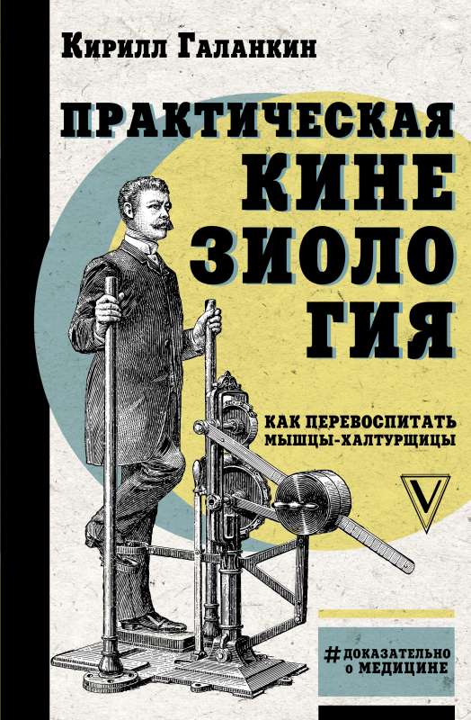 Практическая кинезиология: как перевоспитать мышцы-халтурщицы