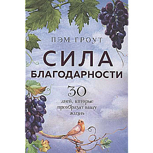 Сила благодарности. 30 дней, которые преобразят вашу жизнь