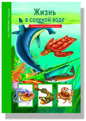 Жизнь в солёной воде. Школьный путеводитель