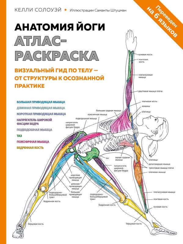 Анатомия йоги: атлас-раскраска. Визуальный гид по телу — от структуры к осознанной практике