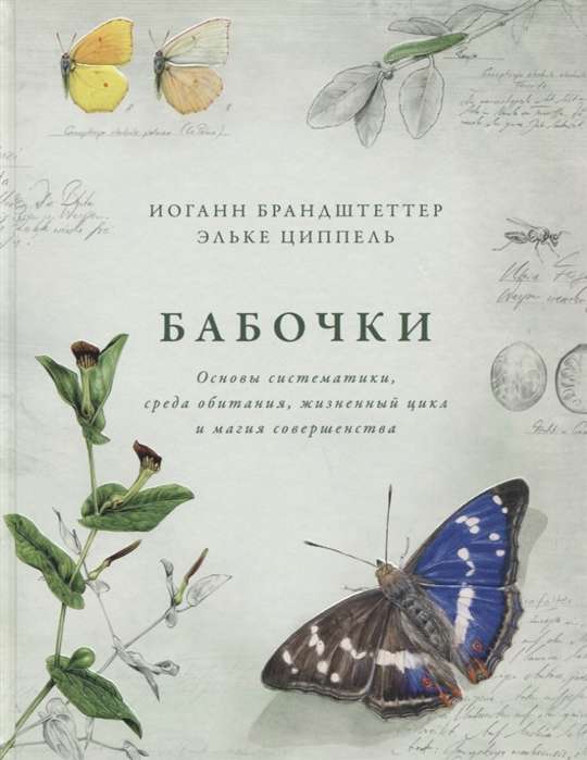 Бабочки. Основы систематики, среда обитания, жизненный цикл и магия совершенства