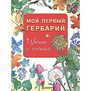 Мой первый гербарий. Цветы и листья