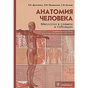 Анатомия человека:Миология в схемах и таблицах