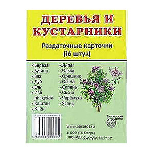 Деревья и кустарники.