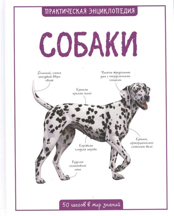 Собаки