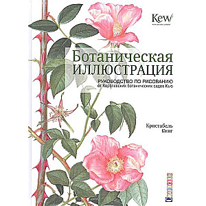 Ботаническая иллюстрация: руководство по рисованию