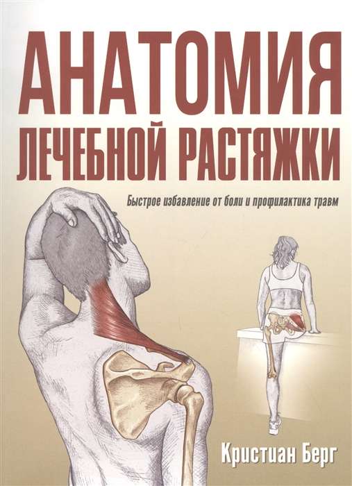 Анатомия лечебной растяжки: быстрое избавление от боли и профилактика травм