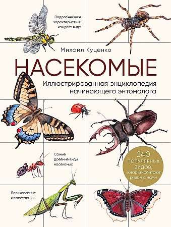 Насекомые. Иллюстрированная энциклопедия начинающего энтомолога. 240 популярных видов, которые обитают рядом с нами