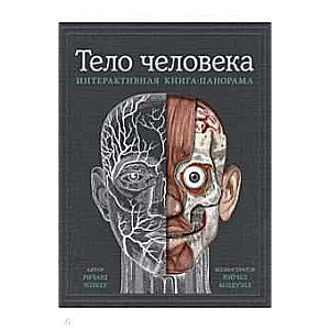 Тело человека. Интерактивная книга-панорама