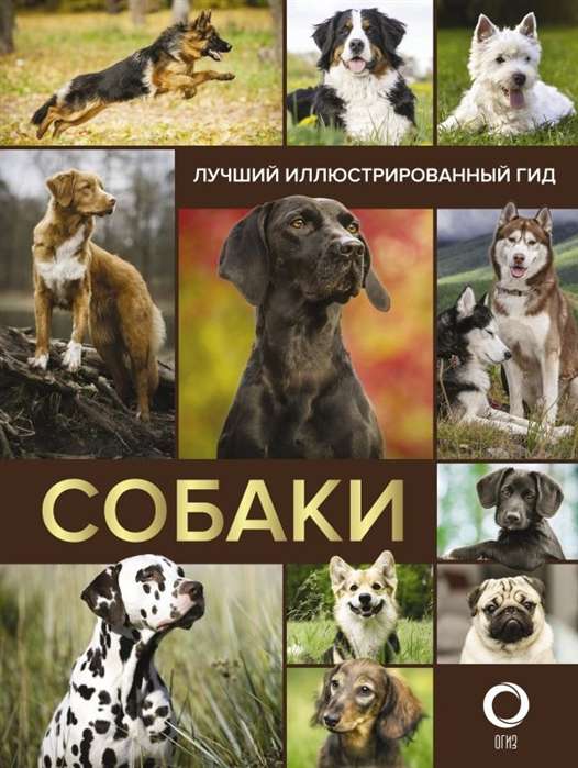 Собаки. Лучший иллюстрированный гид