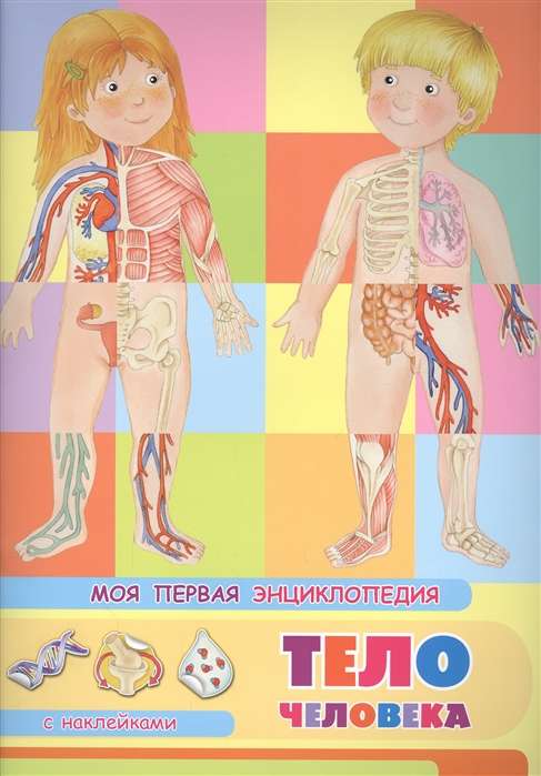 Моя первая энциклопедия. Тело человека