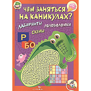 Чем заняться на каникулах? Лабир, схем. Вып.2