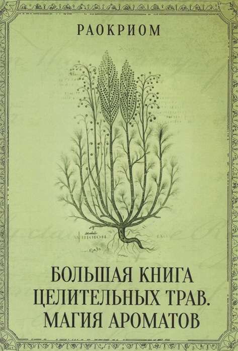 Большая книга целительных трав. Магия ароматов