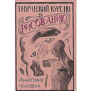 Творческий курс по рисованию. Анатомия человека