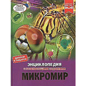 Микромир