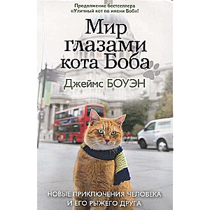 Мир глазами кота Боба