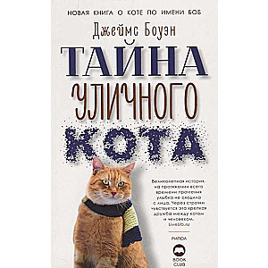 Тайна уличного кота