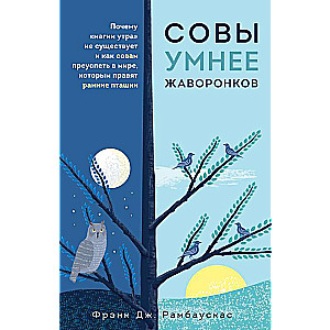 Совы умнее жаворонков. Почему магии утра не существует и как совам преуспеть в мире, в котором правят ранние пташки