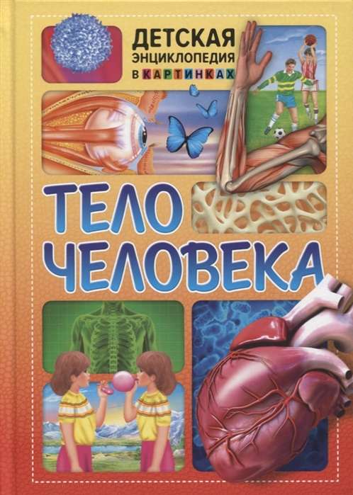 Тело человека