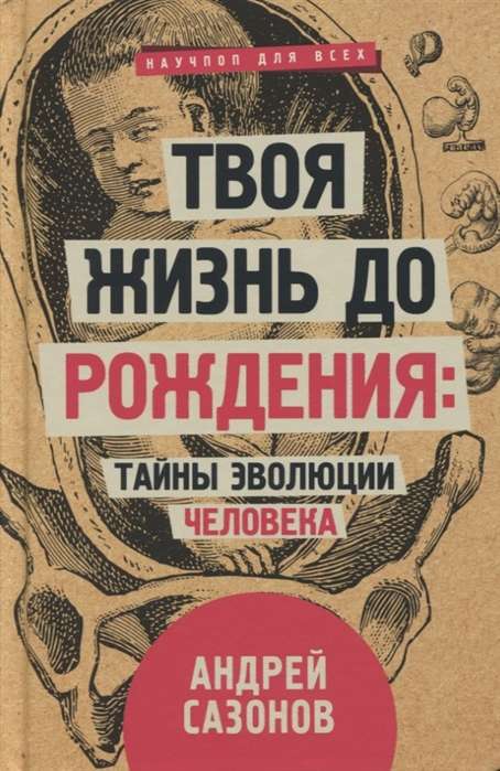 Твоя жизнь до рождения: тайны эволюции человека