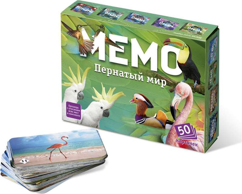 Игра мемо Пернатый мир