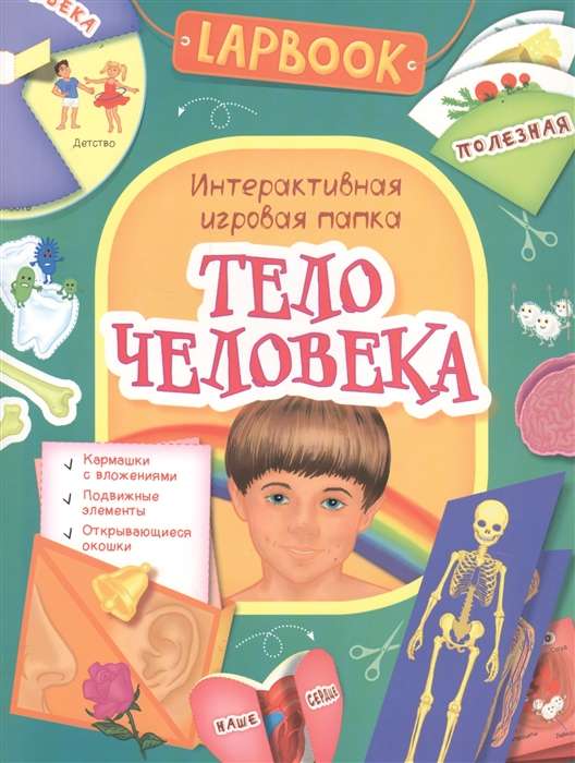 Тело человека. Интерактивная игровая папка