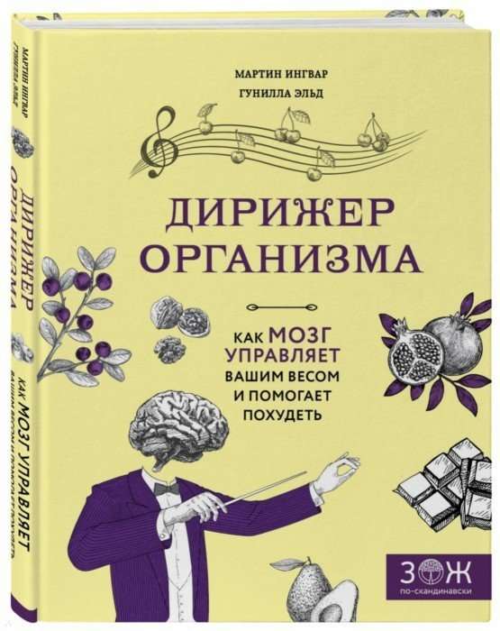 Дирижёр организма. Как мозг управляет вашим весом и помогает похудеть