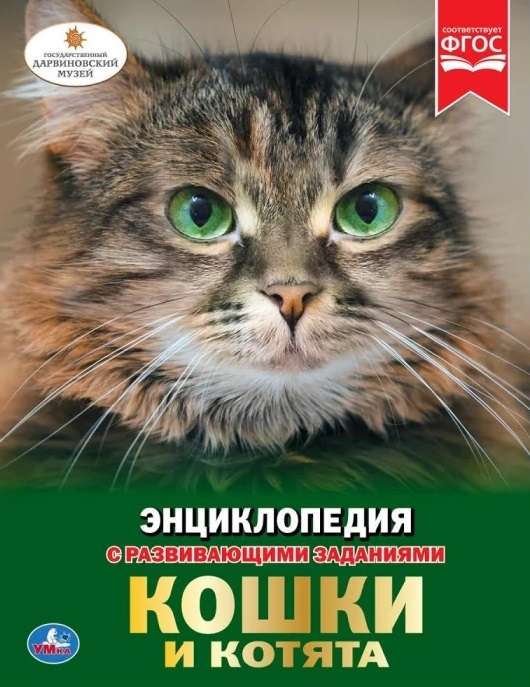 Кошки и котята