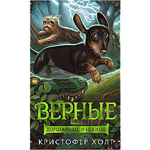 Верные. Книга 3. Дорога чудес и невзгод