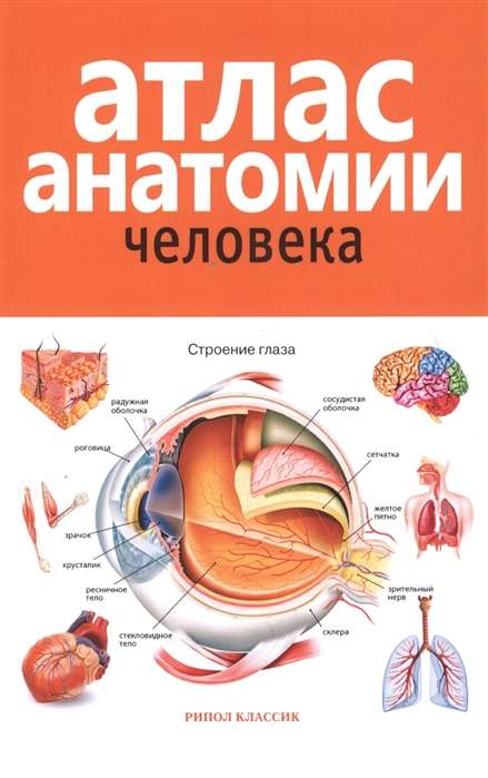 Атлас анатомии человека. 2-е издание