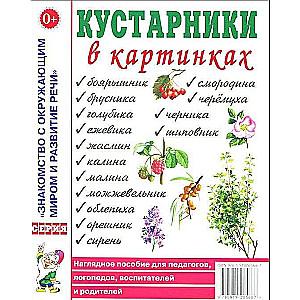 Кустарники в картинках. Наглядное пособие для педагогов, логопедов, воспитателей и родителей