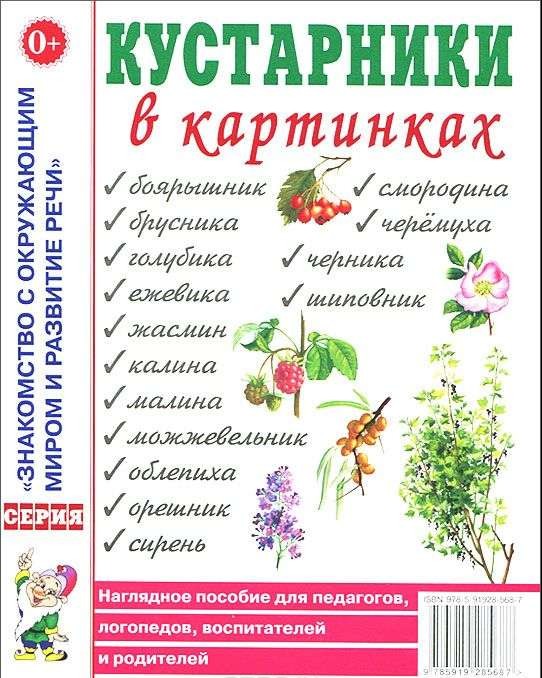 Кустарники в картинках. Наглядное пособие для педагогов, логопедов, воспитателей и родителей