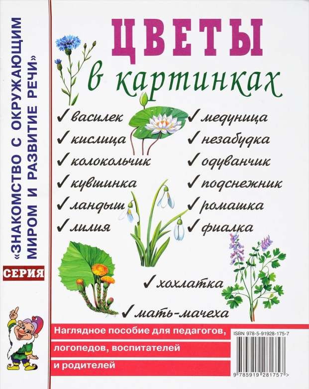 Цветы в картинках. Наглядное пособие для педагогов, логопедов, воспитателей и родителей