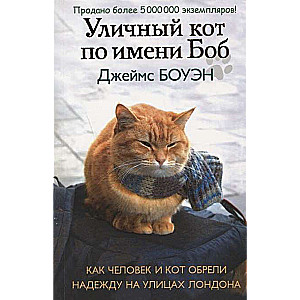 Уличный кот по имени Боб. Как человек и кот обрели надежду на улицах Лондона