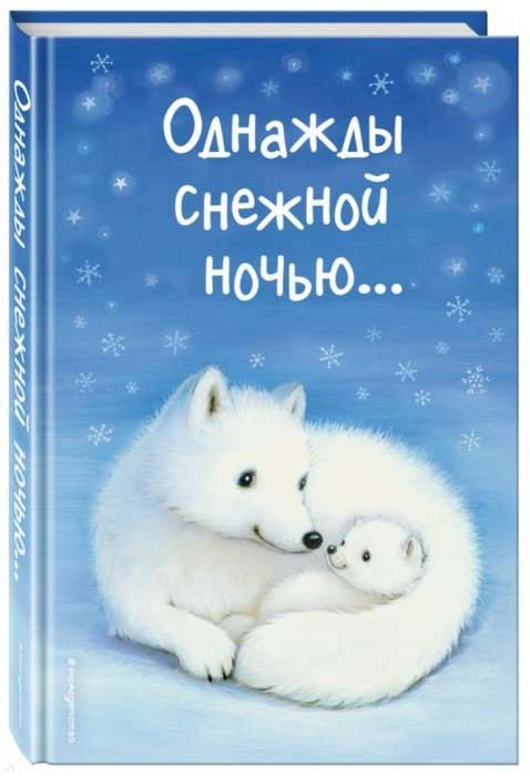 Однажды снежной ночью...