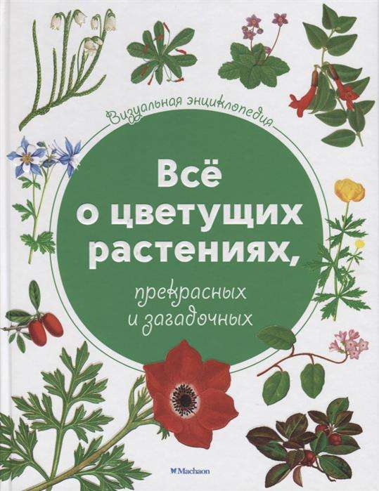 Всё о цветущих растениях, прекрасных и загадочных